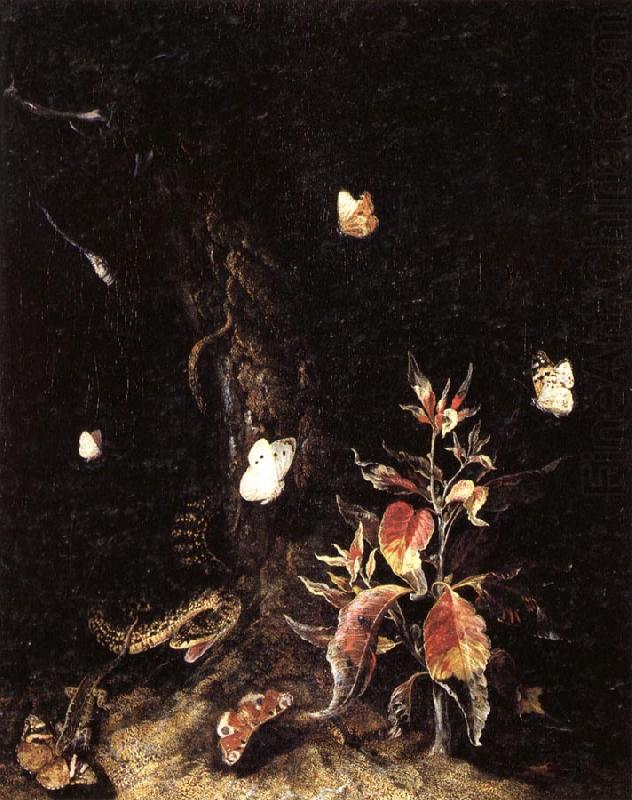 SCHRIECK, Otto Marseus van Reptiles,Butterflies,and Plants at the Base of a Tree china oil painting image